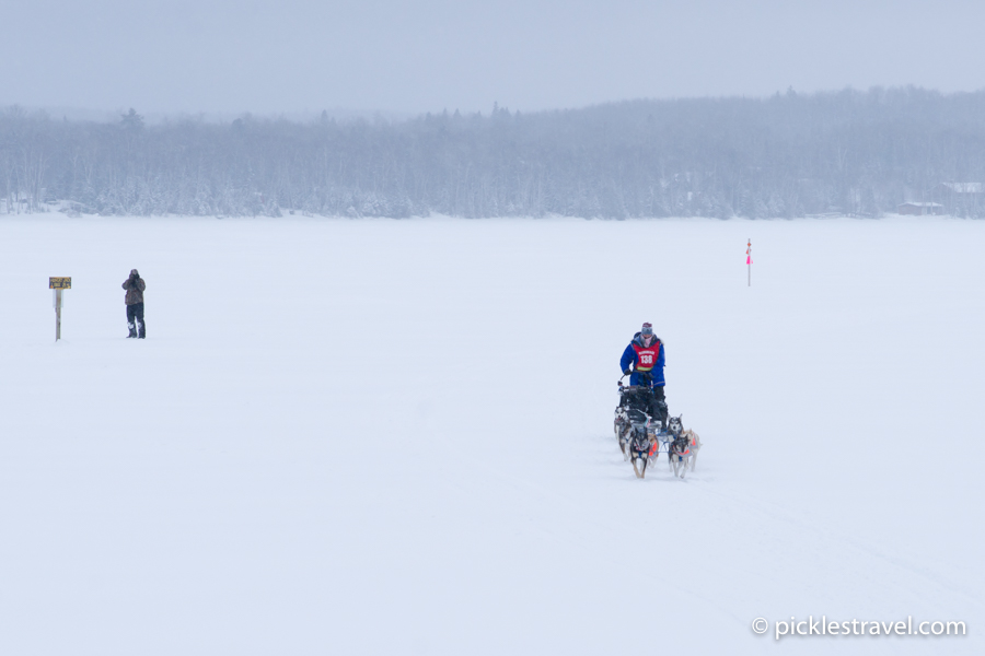 John Beargrease marathon