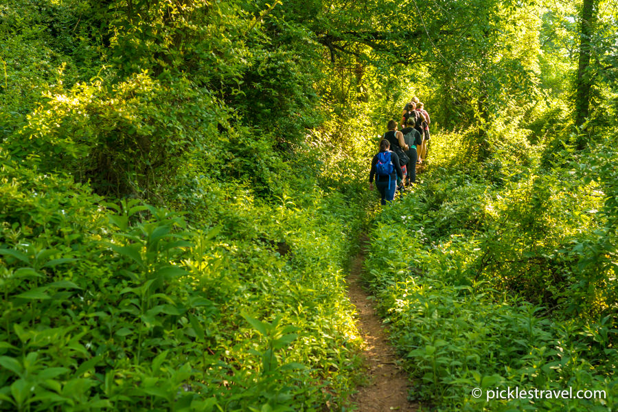 Hike and explore Wayne National Forest in Washington County 