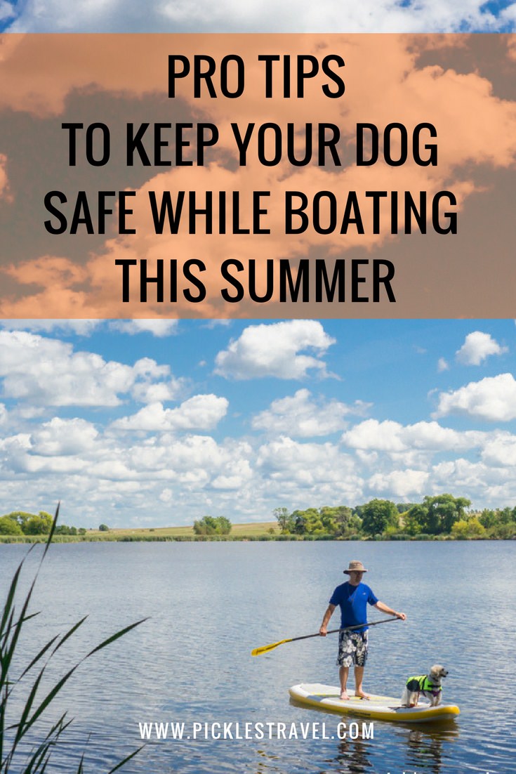 Tips for Dog Water Safety out on the lake and in the boat this summer as you travel with your adventure dog. Good ideas for clothing protection, life jackets and what to include in a first aid kit.