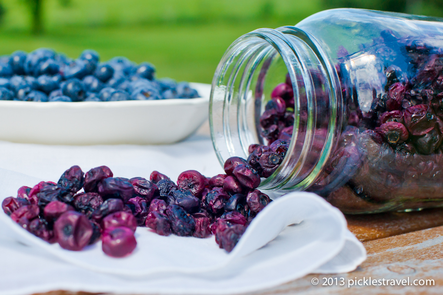 Creating A Blueberry Raisin Dehydrator Preserving