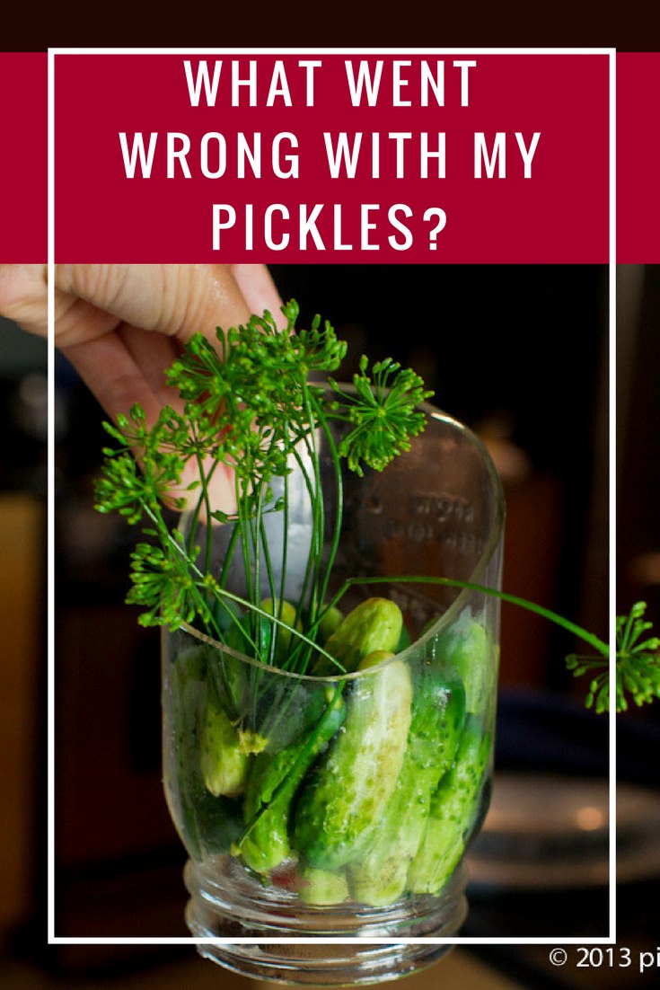 What Went Wrong with my recipe for these Pickles or water bath canning or why did my dill pickles turn out soft as I was making this pickling recipe?
