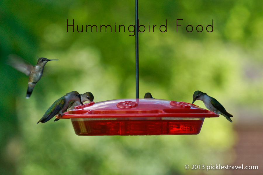 Hummingbird Food Going To The Birds,How To Cut A Dragon Fruit