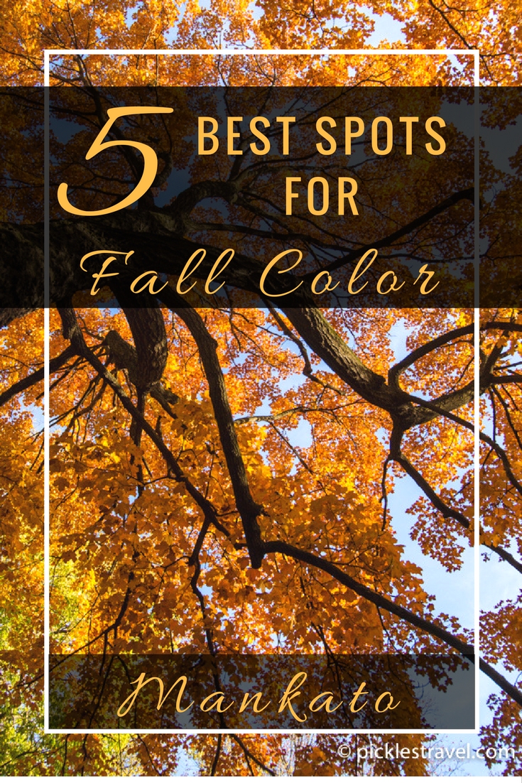 Best spots to catch Fall colors in Mankato Minnesota, whether on a road trip drive by or for the perfect family photo backdrop these locations have all the beauty and color you expect from the season