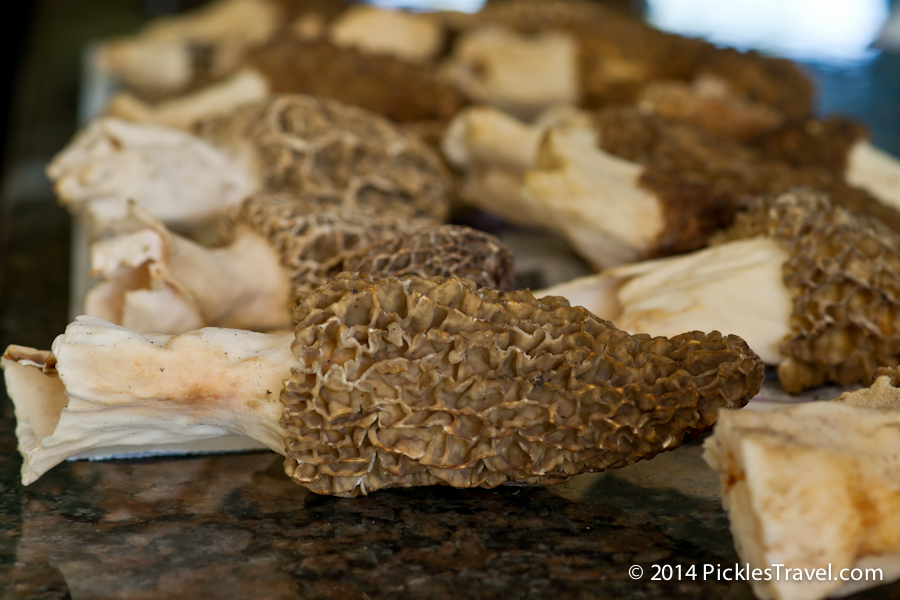 10 Ways to Cook Morel Mushrooms Wild Edibles