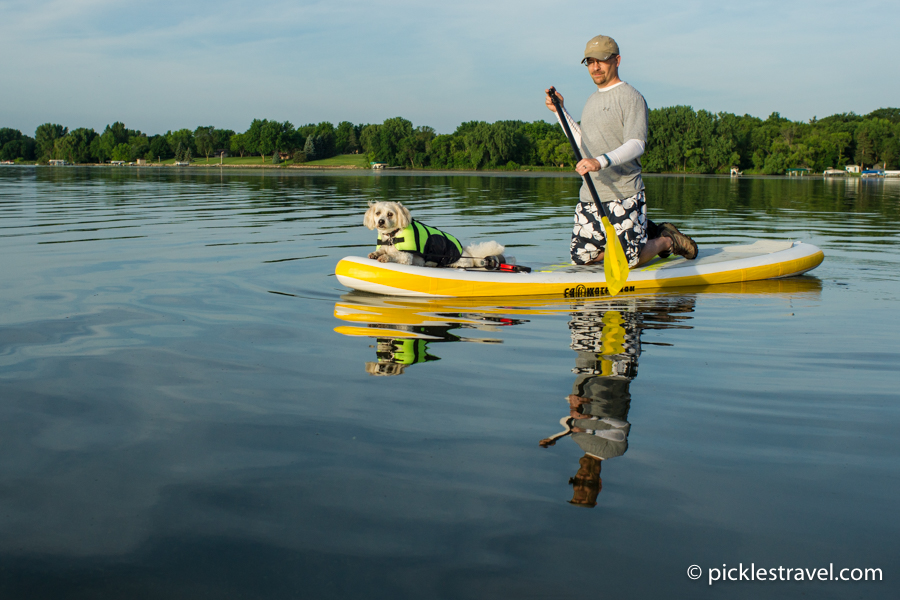 Dog at helm of C4 Waterman SUP