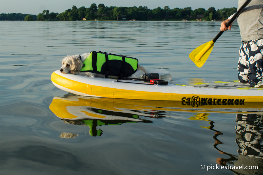 Sleepy Puppy on C4 Waterman inflatable SUP 