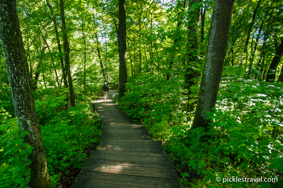 Hiking Club at Nerstrand Big Woods State Park