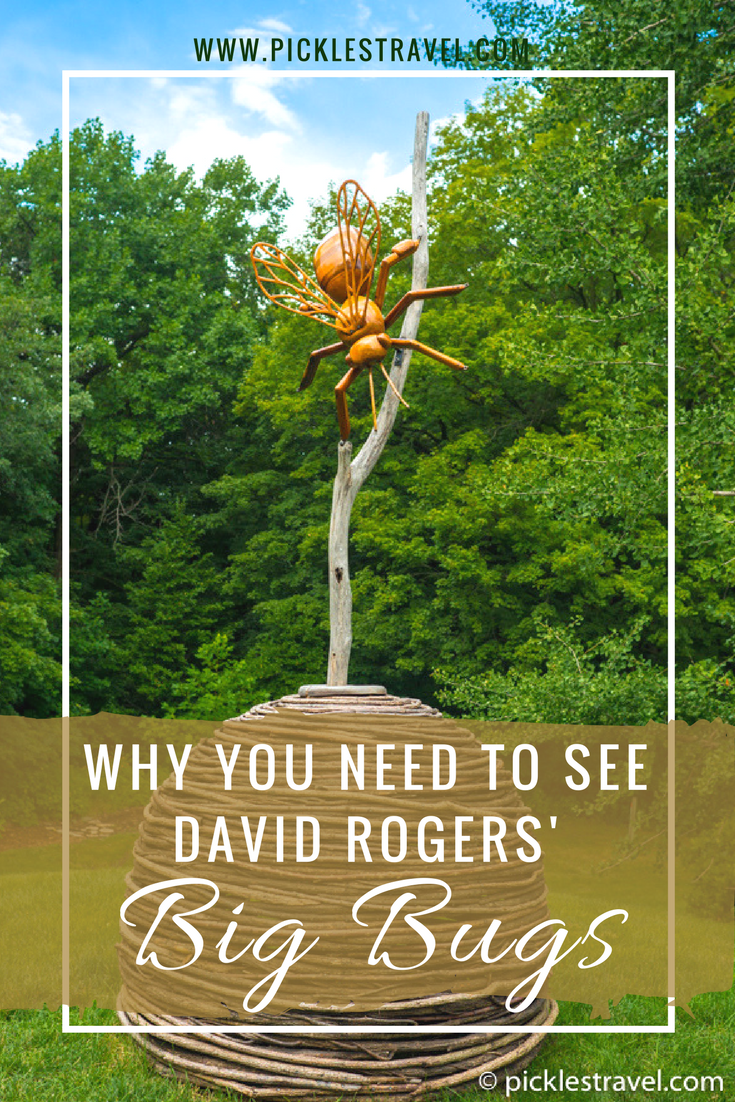 Experience bugs larger than you and all created out of wood and mostly natural products when you explore a David Rogers installation. An incredible sight that is worth the trek or road trip to see next time its at an arboretum or conservatory nearby