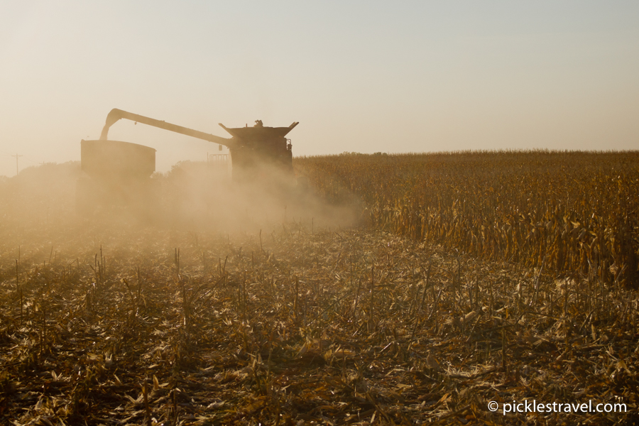 Harvest in Minnesota