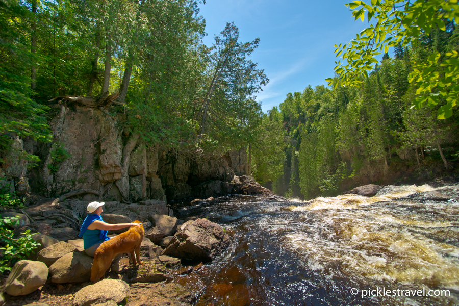 are dogs allowed in minnesota state parks