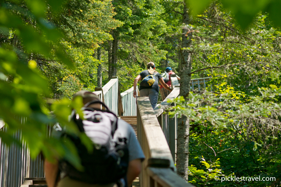 Stairs at Jude C. R, Magney State Park hiking club