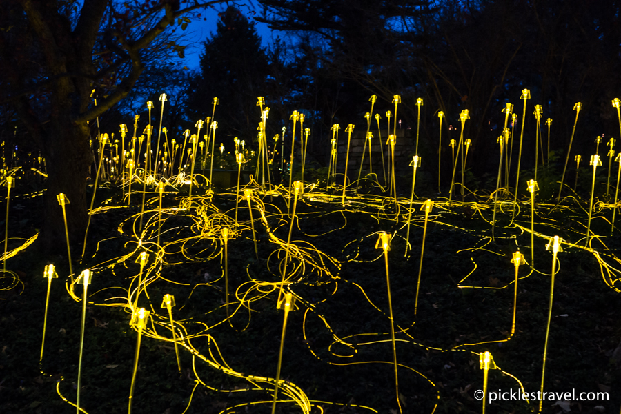 Bruce Munro's Winter Lights display is a Christmas photography wonderland for snow, vibrant colors and bokeh