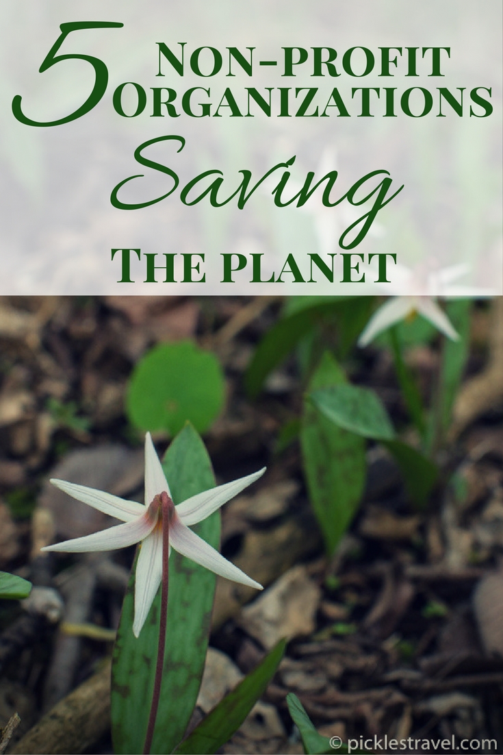 Best non profit organizations and websites for volunteering and donating ideas when it comes to ways to help save the planet and its natural resources