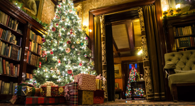 Trees Glensheen Mansion Christmas