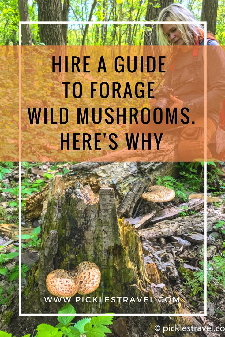 Foraging for morel mushrooms or pheasant backs or any wild edible is a wonderful outdoor adventure but always a good idea to have professional guidance when hunting. Here's why you need to hire a guide for your next time outside.