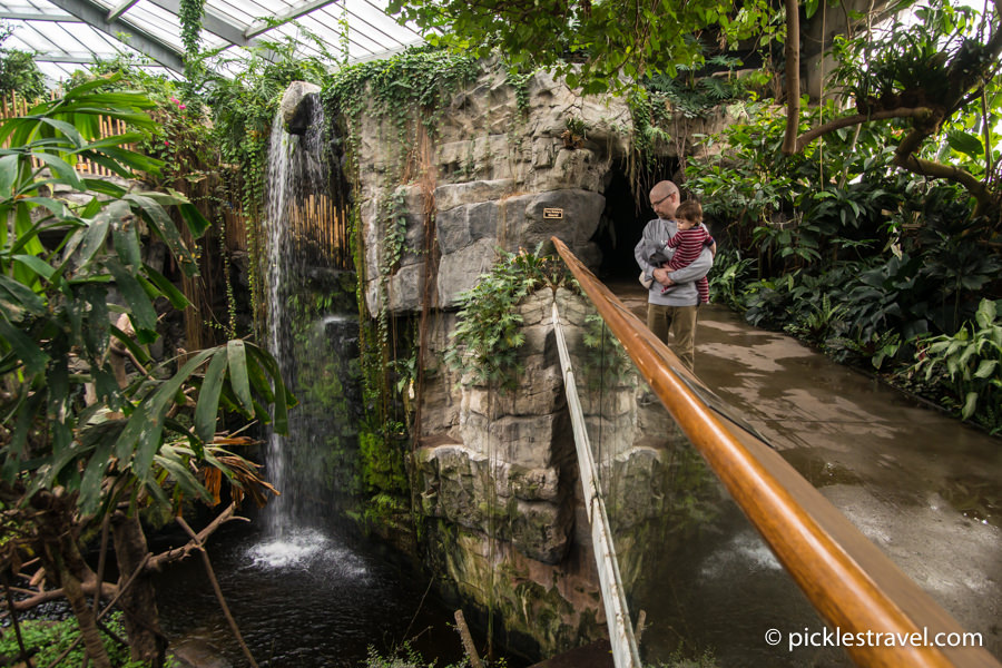 North America's Largest indoor rainforest