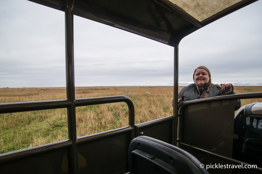 Bison Tour at Blue Mounds State Park