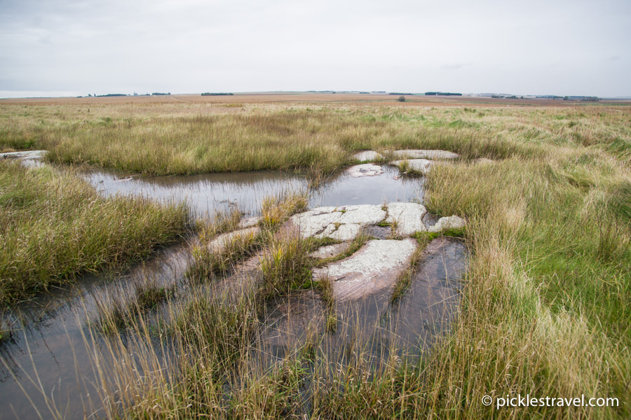 Native Prairies at Brandenburg Foundation near Blue Mounds State Park